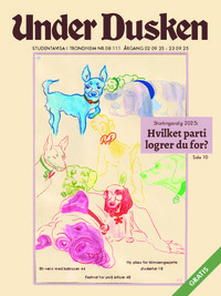 Forside Under Dusken