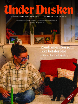 Forside Under Dusken