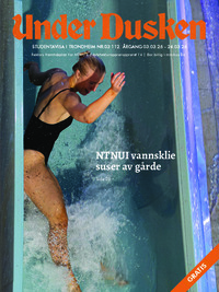 Forside Under Dusken