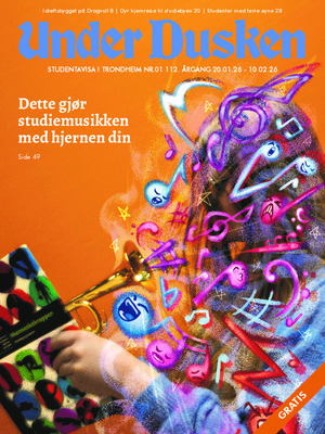 Forside Under Dusken